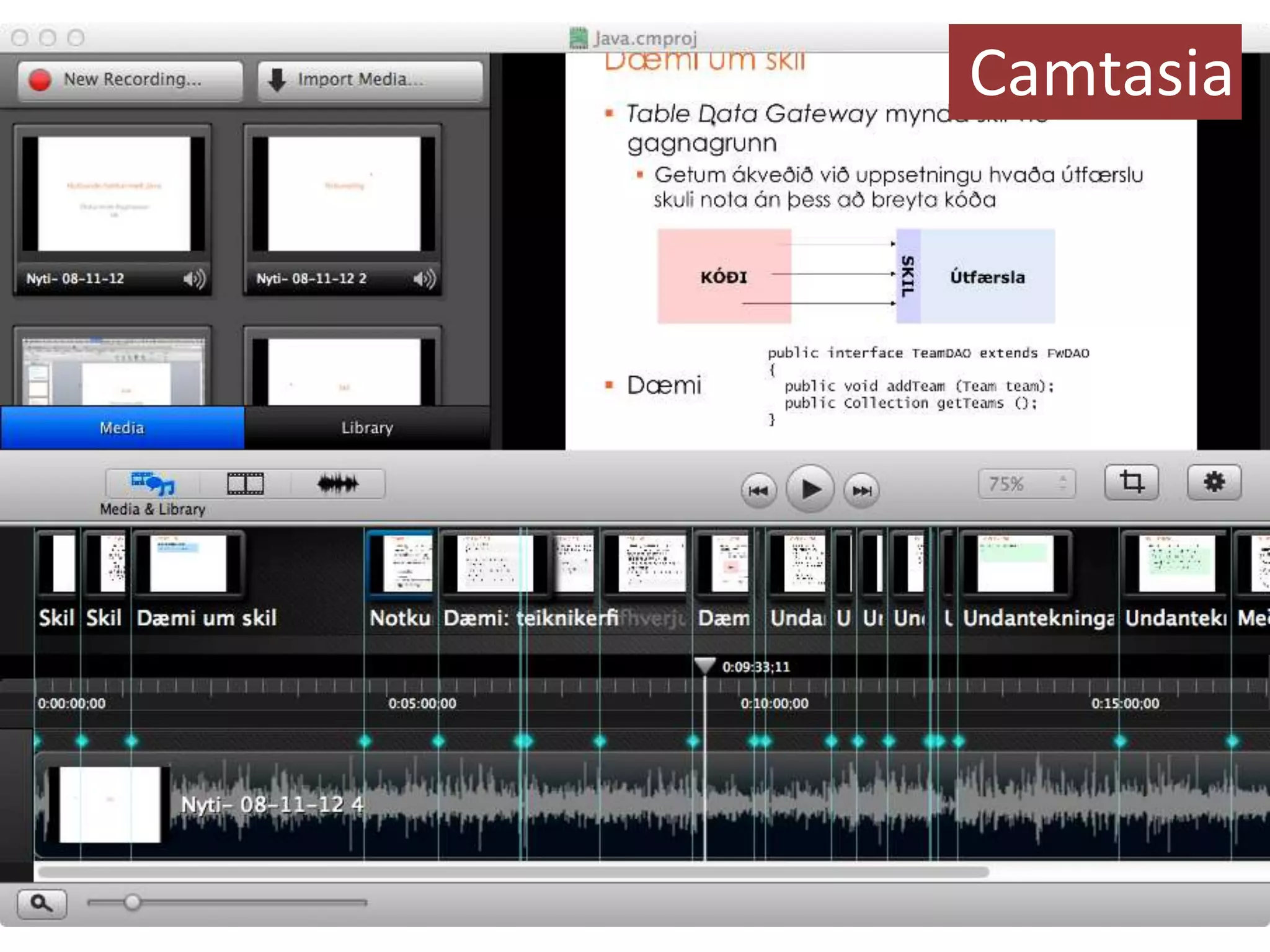 Camtasia
 