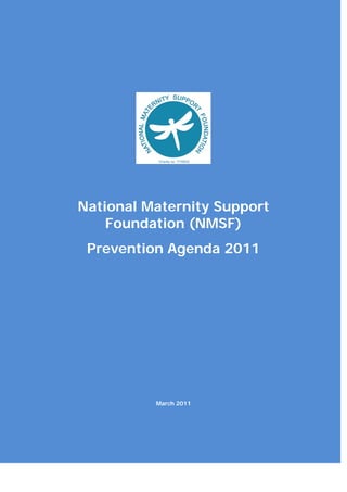 National Maternity Support
    Foundation (NMSF)
 Prevention Agenda 2011




          March 2011
 