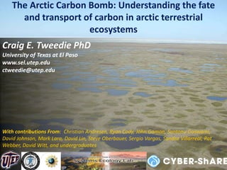 The Arctic Carbon Bomb: Understanding the fate and transport of carbon in arctic terrestrial ecosystems Craig E. Tweedie PhD University of Texas at El Paso www.sel.utep.edu ctweedie@utep.edu With contributions From:  Christian Andresen, Ryan Cody, John Gamon, Santonu Goswami, David Johnson, Mark Lara, David Lin, Steve Oberbauer, Sergio Vargas, Sandra Villarreal, Pat Webber, David Witt, and undergraduates 