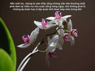 Đến một lúc