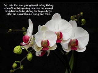 Đến một lúc