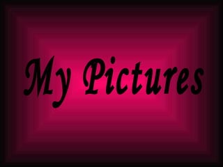 My Pictures 