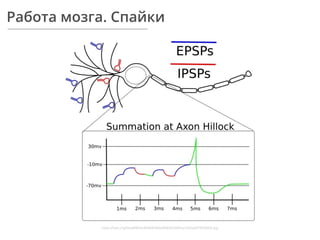 Работа мозга. Спайки
https://hsto.org/ﬁles/646/5b9/f06/6465b9f06205482ba1b2be407f036404.jpg
 