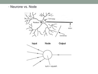 • Neurone vs. Node
 