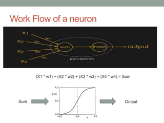 Work Flow of a neuron
(X1 * w1) + (X2 * w2) + (X3 * w3) + (X4 * w4) = Sum
Sum Output
 