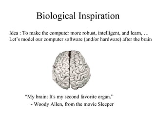 Biological Inspiration
“My brain: It's my second favorite organ.”
- Woody Allen, from the movie Sleeper
Idea : To make the computer more robust, intelligent, and learn, …
Let’s model our computer software (and/or hardware) after the brain
 