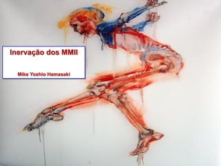 Inervação dos MMII
Mike Yoshio Hamasaki
 