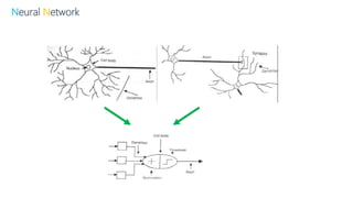 Neural Network