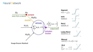 Neural Network