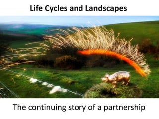 Life Cycles and Landscapes
The continuing story of a partnership
 