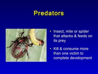 Natural Predators Insect Nnatural enemies in Agricultural crop | PPT