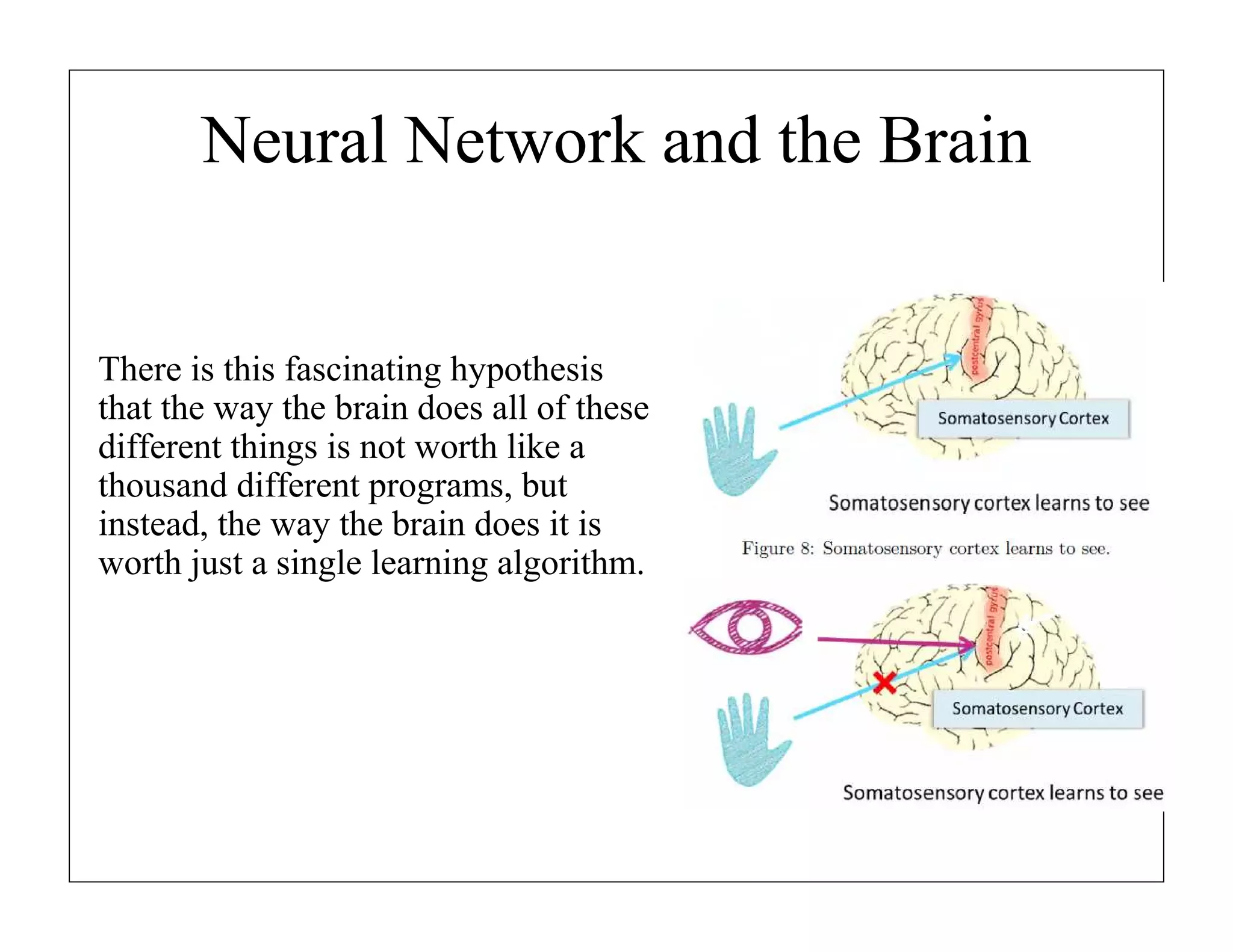 Neural Network and the Brain

There is this fascinating hypothesis
that the way the brain does all of these
different things is not worth like a
thousand different programs, but
instead, the way the brain does it is
worth just a single learning algorithm.

 