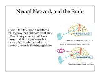 Neural Network and the Brain

There is this fascinating hypothesis
that the way the brain does all of these
different things is not worth like a
thousand different programs, but
instead, the way the brain does it is
worth just a single learning algorithm.

 