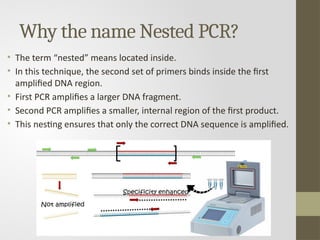 PCR | NESTED PCR | MICROBIOLOGY | PHARMACY | PPTX