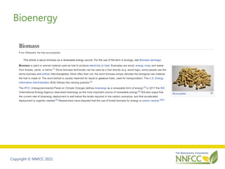 Copyright © NNFCC 2021
Bioenergy
 