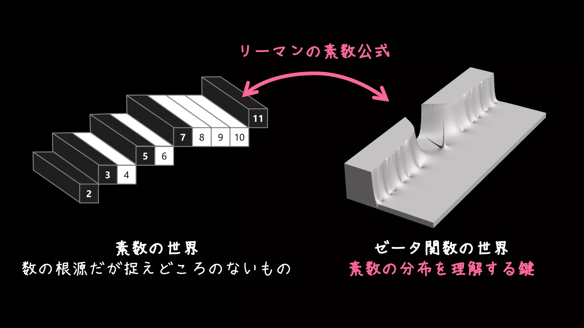 2
3 4
5 6
7 8 9 10
11
素数の世界
数の根源だが捉えどころのないもの
ゼータ関数の世界
素数の分布を理解する鍵
リーマンの素数公式
 