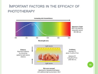 IMPORTANT FACTORS IN THE EFFICACY OF
PHOTOTHERAPY
43
 