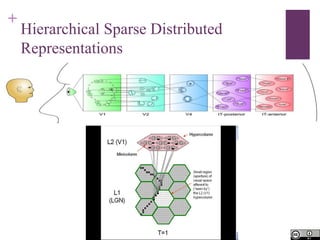 +
Hierarchical Sparse Distributed
Representations
 
