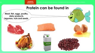 ups.
LEARNING
INTENTIONS
Students can identify foods sources of nutrients and the functions of various nutrients.
Protein can be found in
Meat, fish, eggs, poultry,
dairy products,
legumes, nuts and seeds.
 