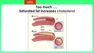 ups.
LEARNING
INTENTIONS
Students can identify foods sources of nutrients and the functions of various nutrients.
Too much ….
Saturated fat increases cholesterol
 