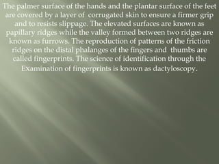 Fingerprint part 2 with more information | PPTX