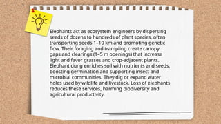 ...
t.me/slaydai_bot
Elephants act as ecosystem engineers by dispersing
seeds of dozens to hundreds of plant species, often
transporting seeds 1–10 km and promoting genetic
flow. Their foraging and trampling create canopy
gaps and clearings (1–5 m openings) that increase
light and favor grasses and crop-adjacent plants.
Elephant dung enriches soil with nutrients and seeds,
boosting germination and supporting insect and
microbial communities. They dig or expand water
holes used by wildlife and livestock. Loss of elephants
reduces these services, harming biodiversity and
agricultural productivity.
 