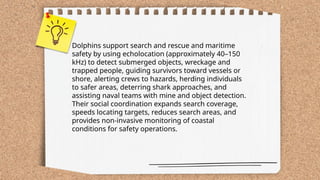 ...
t.me/slaydai_bot
Dolphins support search and rescue and maritime
safety by using echolocation (approximately 40–150
kHz) to detect submerged objects, wreckage and
trapped people, guiding survivors toward vessels or
shore, alerting crews to hazards, herding individuals
to safer areas, deterring shark approaches, and
assisting naval teams with mine and object detection.
Their social coordination expands search coverage,
speeds locating targets, reduces search areas, and
provides non-invasive monitoring of coastal
conditions for safety operations.
 