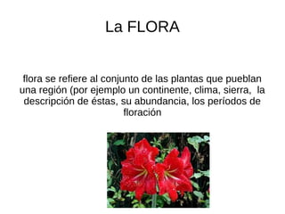 La FLORA
flora se refiere al conjunto de las plantas que pueblan
una región (por ejemplo un continente, clima, sierra, la
descripción de éstas, su abundancia, los períodos de
floración
 