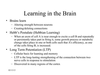 Learning in the Brain
• Brains learn
   – Altering strength between neurons
   – Creating/deleting connections
• Hebb’s Postulate (Hebbian Learning)
   – When an axon of cell A is near enough to excite a cell B and repeatedly
     or persistently takes part in firing it, some growth process or metabolic
     change takes place in one or both cells such that A's efficiency, as one
     of the cells firing B, is increased.
• Long Term Potentiation (LTP)
   – Cellular basis for learning and memory
   – LTP is the long-lasting strengthening of the connection between two
     nerve cells in response to stimulation
   – Discovered in many regions of the cortex

 02/13/13
 