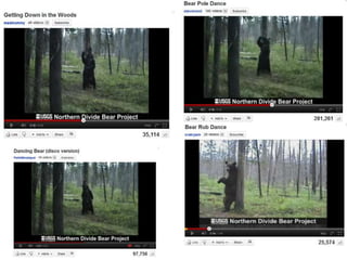 New Media ideas for PNW