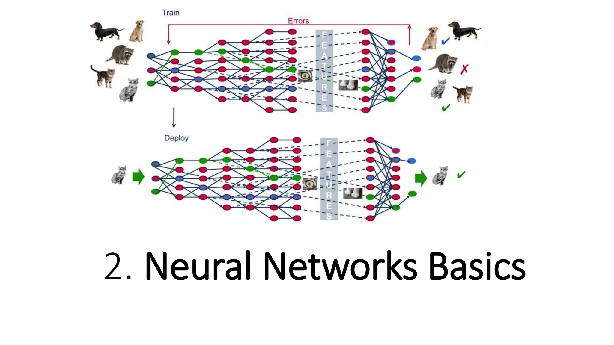 2. Neural Networks Basics
 