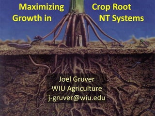 Maximizing
Growth in

Crop Root
NT Systems

Joel Gruver
WIU Agriculture
j-gruver@wiu.edu

 