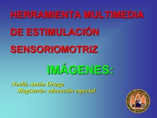HERRAMIENTA MULTIMEDIA
DE ESTIMULACIÓN
SENSORIOMOTRIZ

             IMÁGENES:
Noelia Antón Ortega
 Magisterio: educación especial
 
