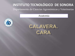Anatomía
INSTITUTO TECNOLÓGICO DE SONORA
Departamento de Ciencias Agronómicas y Veterinarias
 