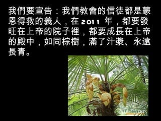 我們要宣告：我們教會的信徒都是蒙恩得救的義人，在 2011 年，都要發旺在上帝的院子裡，都要成長在上帝的殿中，如同棕樹，滿了汁漿、永遠長青。 