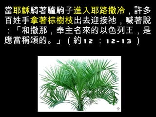 當 耶穌 騎著驢駒子 進入耶路撒冷 ，許多百姓手 拿著棕樹枝 出去迎接祂，喊著說：「和撒那，奉主名來的以色列王，是應當稱頌的。」（約 12 ： 12-13 ） 
