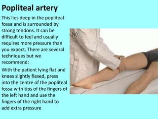 Popliteal artery
This lies deep in the popliteal
fossa and is surrounded by
strong tendons. It can be
difficult to feel and usually
requires more pressure than
you expect. There are several
techniques but we
recommend:
With the patient lying flat and
knees slightly flexed, press
into the centre of the popliteal
fossa with tips of the fingers of
the left hand and use the
fingers of the right hand to
add extra pressure
 