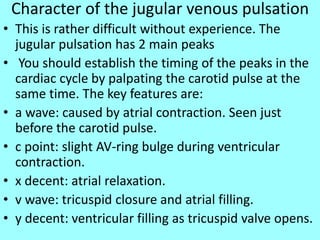 Character of the jugular venous pulsation
• This is rather difficult without experience. The
jugular pulsation has 2 main peaks
• You should establish the timing of the peaks in the
cardiac cycle by palpating the carotid pulse at the
same time. The key features are:
• a wave: caused by atrial contraction. Seen just
before the carotid pulse.
• c point: slight AV-ring bulge during ventricular
contraction.
• x decent: atrial relaxation.
• v wave: tricuspid closure and atrial filling.
• y decent: ventricular filling as tricuspid valve opens.
 