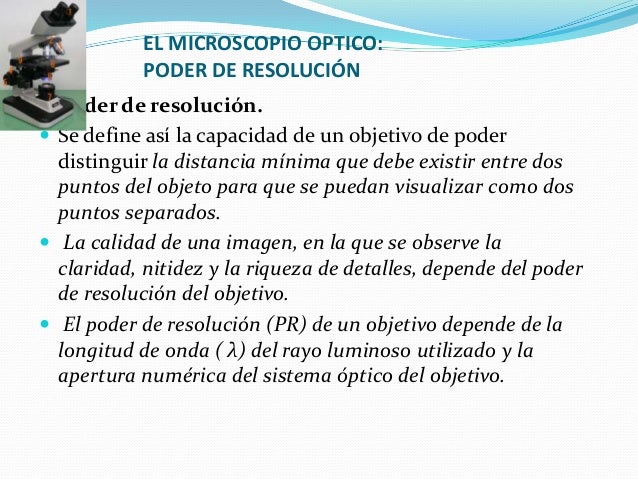 No. Microscopia