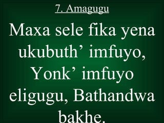 7. Amagugu

Maxa sele fika yena
 ukubuth’ imfuyo,
   Yonk’ imfuyo
eligugu, Bathandwa
      bakhe.
 