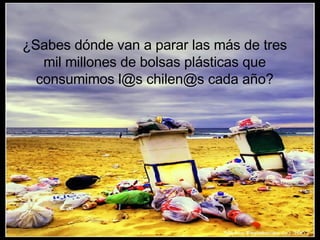 ¿Sabes dónde van a parar las más de tres mil millones de bolsas plásticas que consumimos l@s chilen@s cada año? 