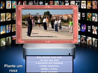Vou plantar uma rosa no ano que vem e escrever um romance e fazer exercício, desde o início, como convém. Plante um rosa 