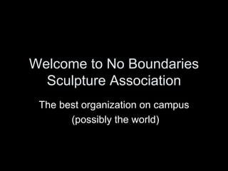 Welcome to No Boundaries Sculpture Association The best organization on campus (possibly the world) 