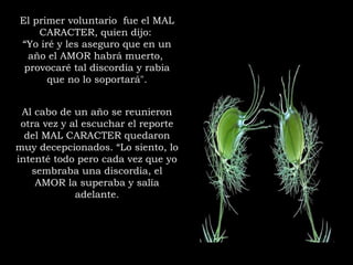 El primer voluntario fue el MAL
CARACTER, quien dijo:
“Yo iré y les aseguro que en un
año el AMOR habrá muerto,
provocaré tal discordia y rabia
que no lo soportará".
Al cabo de un año se reunieron
otra vez y al escuchar el reporte
del MAL CARACTER quedaron
muy decepcionados. “Lo siento, lo
intenté todo pero cada vez que yo
sembraba una discordia, el
AMOR la superaba y salía
adelante.
 