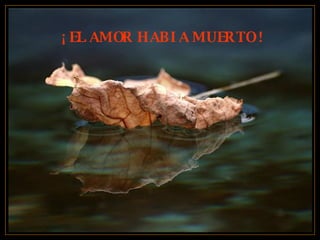 ¡ EL AMOR HABIA MUERTO ! 