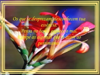 Os que te desprezam, desconhecem tua essência. Pensa no bem e esquece o mal. Rompe as algemas que te atam ao pessimismo.