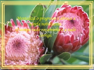 Mentaliza o progresso e abraça a tarefa nobilitante. O tempo tudo encaminha e a tudo corrige.