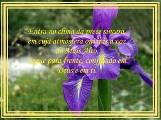 Entra no clima da prece sincera, em cuja atmosfera ouvirás a voz do Mais Alto. Segue para frente, confiando em Deus e em ti.