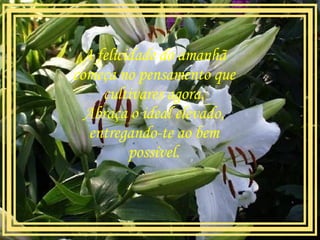 A felicidade do amanhã começa no pensamento que cultivares agora. Abraça o ideal elevado, entregando-te ao bem possível.