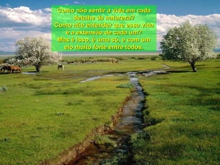 Como não sentir a vida em cada detalhe da natureza? Como não entender que essa vida é a extensão de cada um? Mas é isso, é uma só, e com um elo muito forte entre todos. 